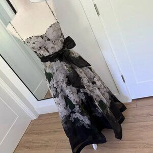 Zimmermann balance picnic floral dress